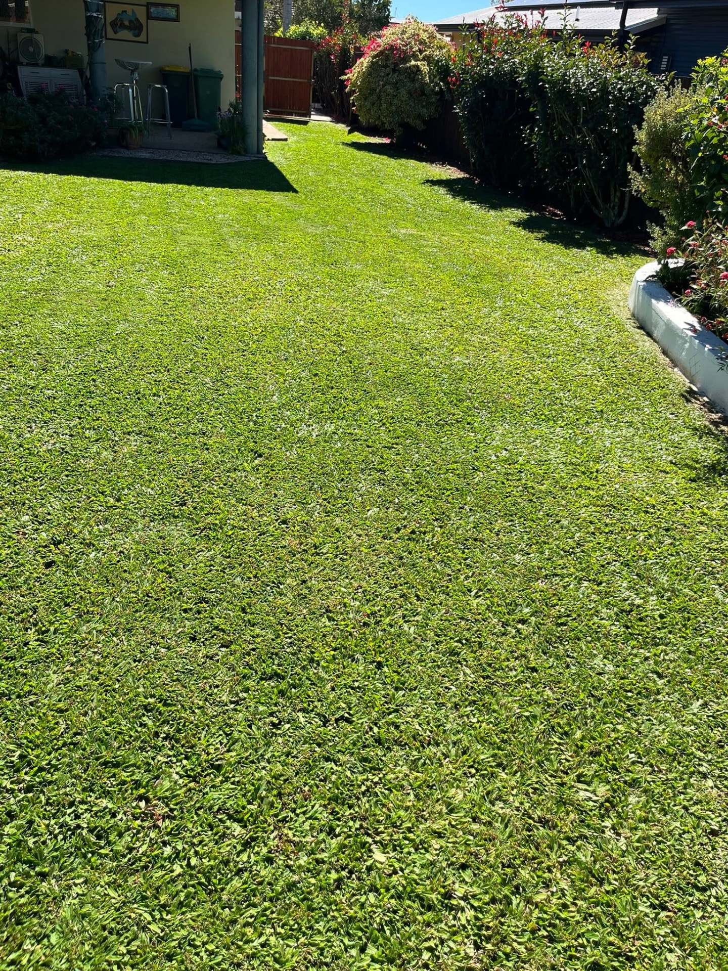Side yard lawn mowed neatly between a house and a trimmed hedge