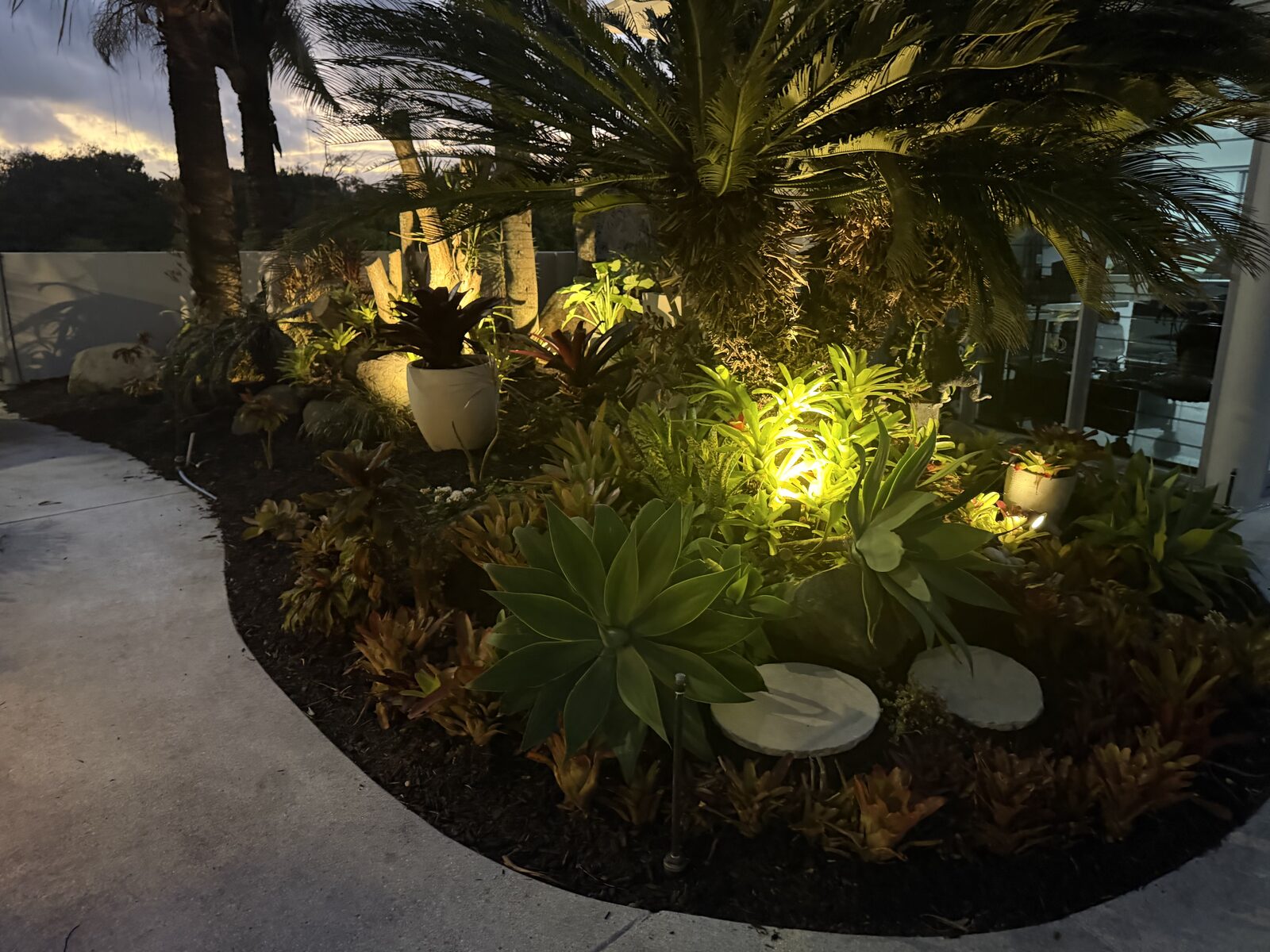 Landscaped garden bed with agaves, palms and stepping stones lit at dusk
