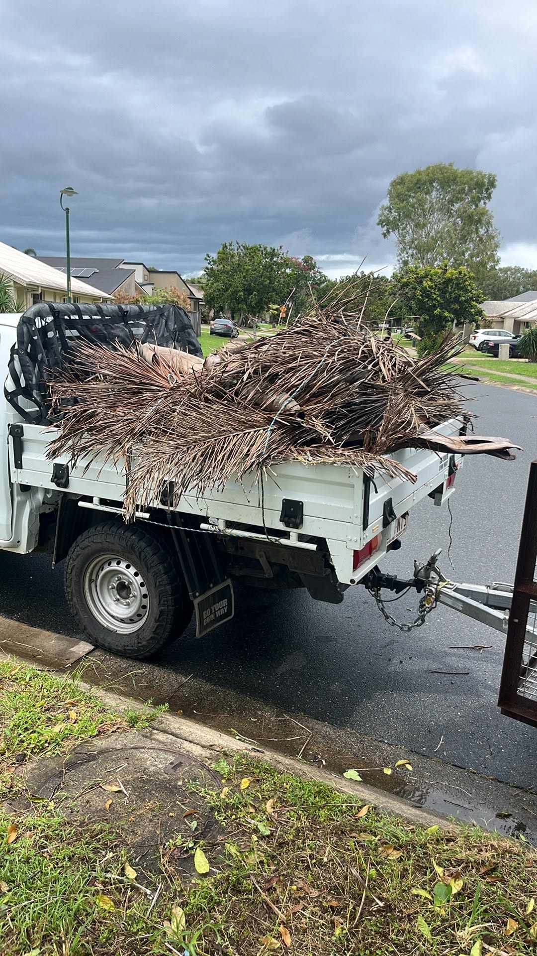 Ute tray loaded with green waste after a clean up