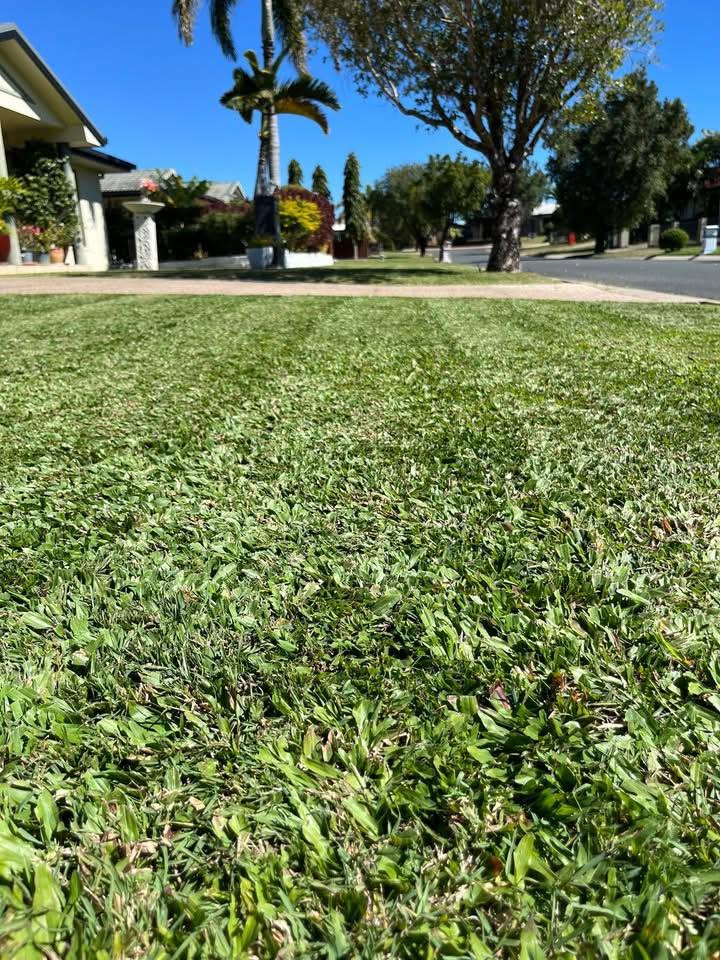 Freshly mowed and edged front lawn at a Mackay home
