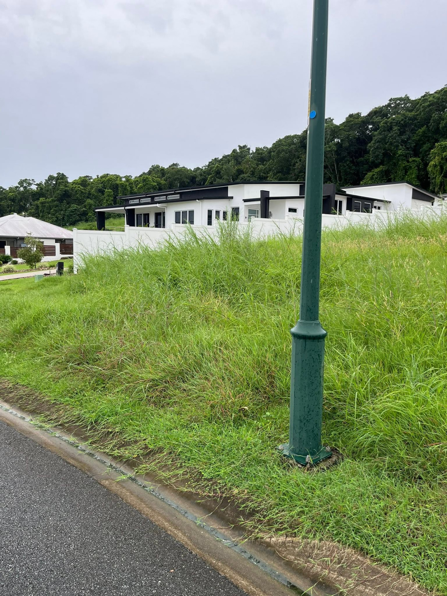 Long grass on a sloped residential verge and vacant lot in Mackay