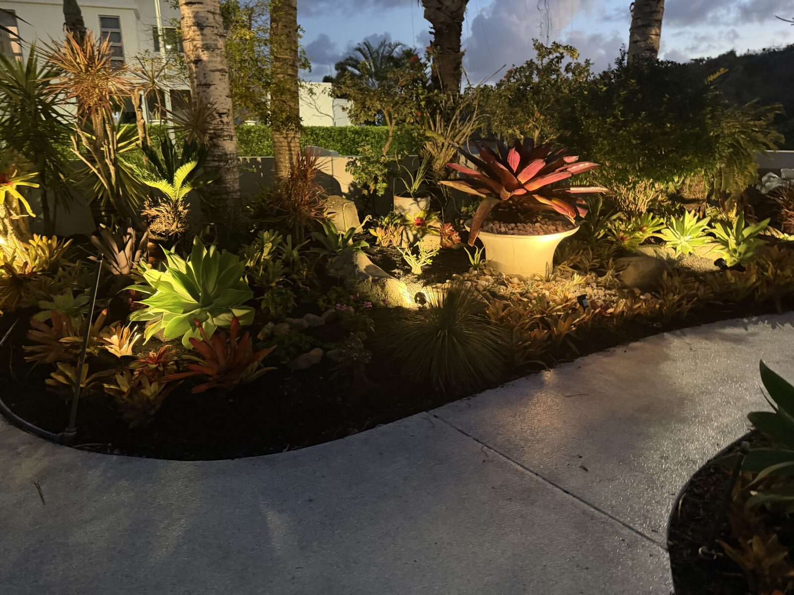 Landscaped tropical garden bed with feature lighting at dusk in Mackay